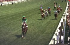 shergar_1116463i.jpg