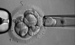 pgd21-150x90.jpg