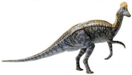 large_716026.jpg