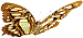 butterfly.png
