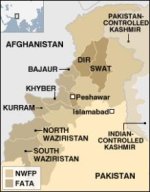 _45562552_pak_226x289.jpg
