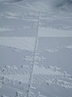 pattern2_400.jpg