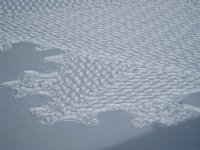 pattern4_400.jpg