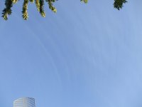 DSCF4301.jpg