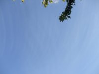 DSCF4302.jpg