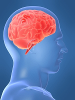 human_brain_as_belief_engine.png