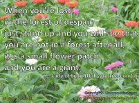 Forest+of+Flowers+Large.jpg