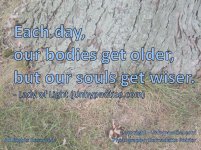 Older and Wiser Large.jpg