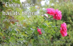 Every+Rose+Has+Its+Thorn+Large.jpg
