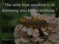 Grasshopper+Wisdom+Large.jpg
