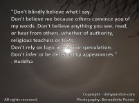 Don't+Blindly+Believe+-+Buddha+Large.jpg