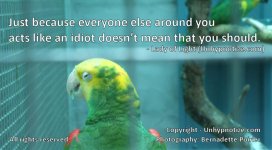 Don't-Be-An-Idiot-Large.jpg