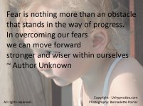Fear-is-an-Obstacle-Large.jpg