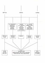 chart5.jpg