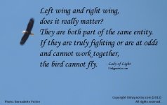 Left_Wing_VS_Right_Wing_Large.jpg