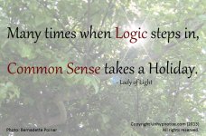 Logic_Often_Lacks_Common_Sense_Large.jpg
