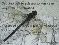 Celebrate_Death_L.jpg