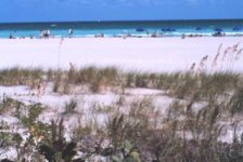 beach_small.jpg
