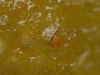 Chicken-McNugget-10.jpg