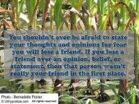 Losing-Friends-512.jpg