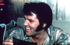 elvis_1116530i.jpg