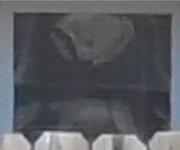 device55.jpg