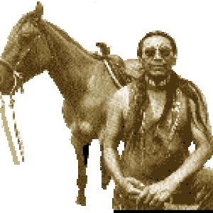 arvol lookinghorse