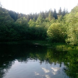 glentress6
