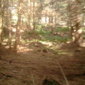 glentress2