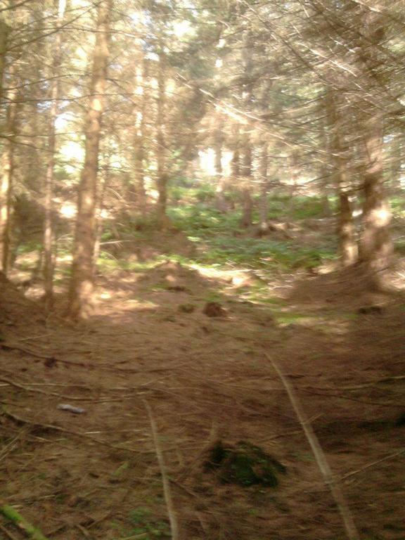 glentress2