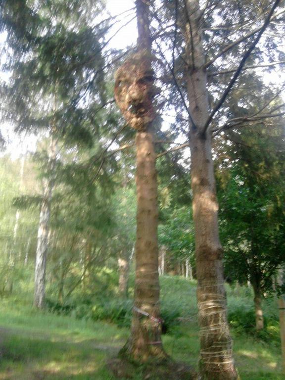 glentress3