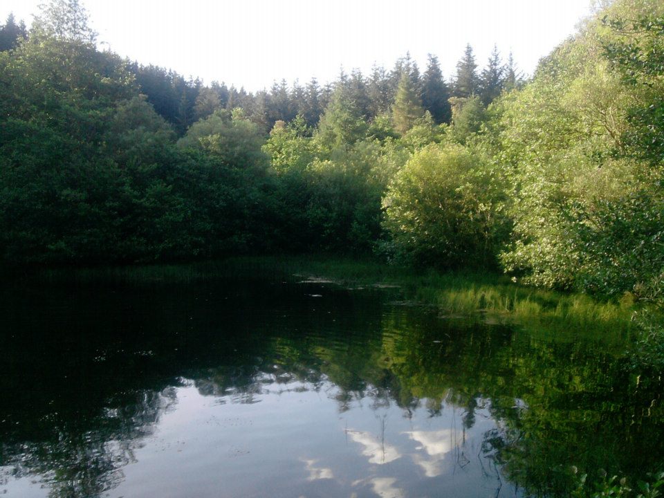 glentress6