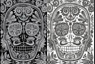 TWINSKULLS copy